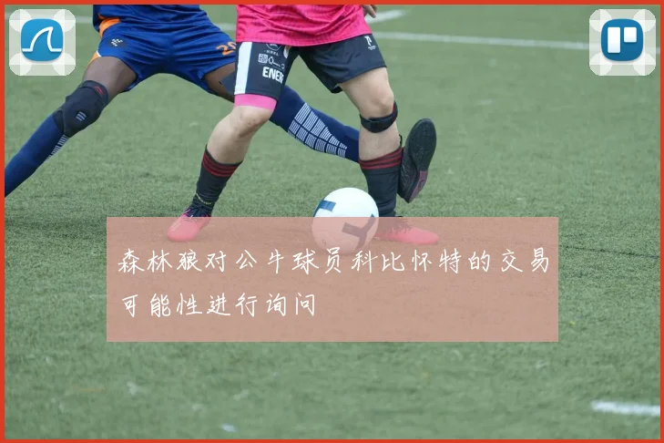 森林狼对公牛球员科比怀特的交易可能性进行询问